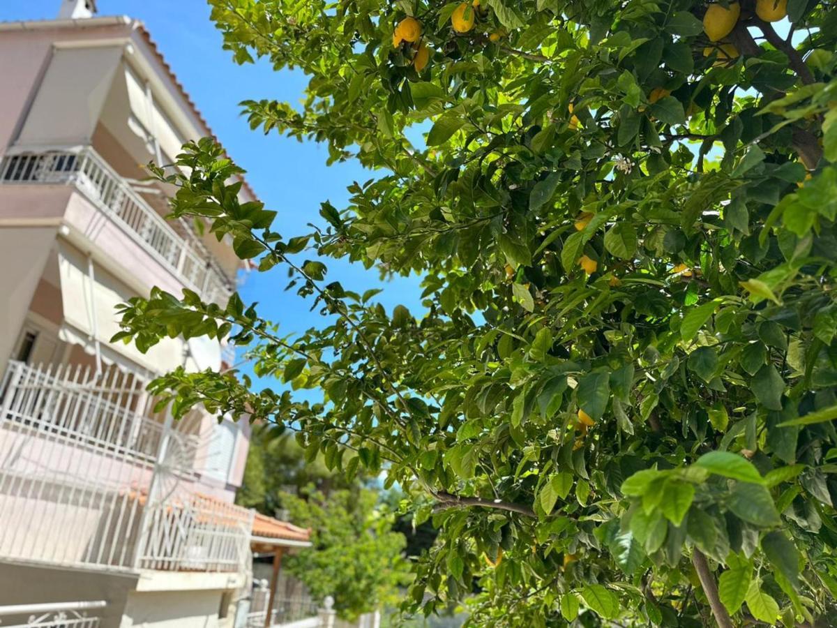 La Vita Apartments-Near Airport & Sea Artemida  Ngoại thất bức ảnh