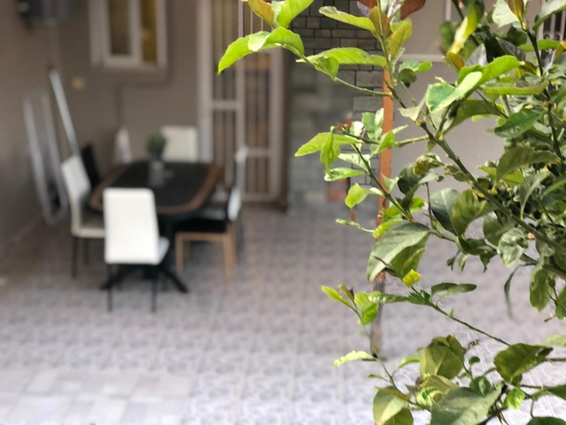 La Vita Apartments-Near Airport & Sea Artemida  Phòng bức ảnh